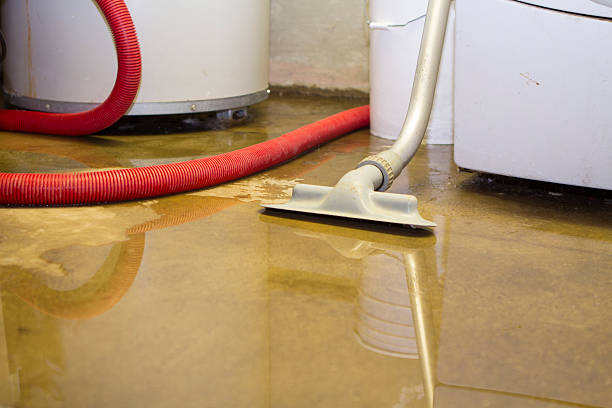 Best Water damage restoration near me  in Nes, IL