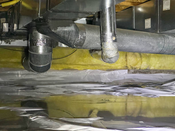 Best Water damage restoration near me  in Nes, IL