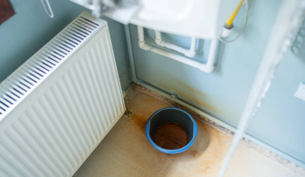Best Professional water damage repair  in Nes, IL