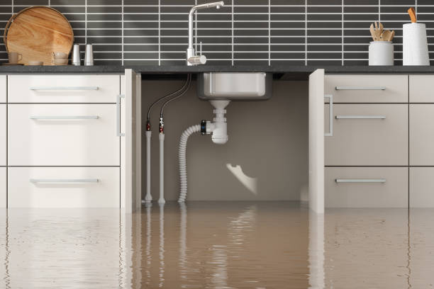 Best Fire Damage Restoration  in Nes, IL