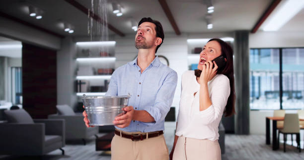 Best Flooded house restoration  in Nes, IL